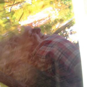 Meet your Posher, Cassilyn