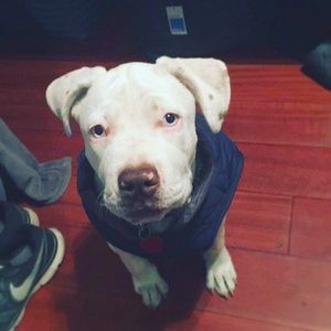 Meet your Posher, Mayra