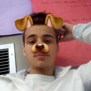 Meet your Posher, Sammy