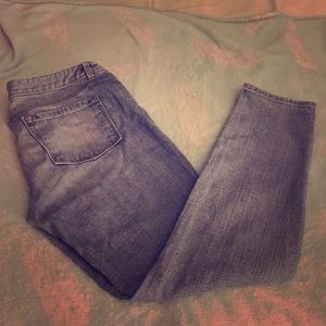 Ann Taylor Loft  Modern Straight Jeans