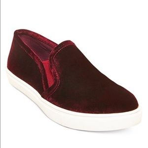 Steve Madden Ecentric-Q Platform Sneaker