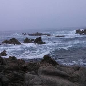 Meet your Posher, Red n reasor