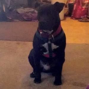 Meet your Posher, Kelli