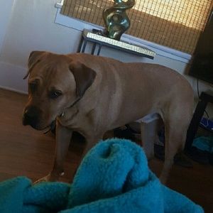 Meet your Posher, Cydney