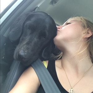 Meet your Posher, Ava