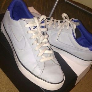 Nike Dunk Grey/Blue 11.5