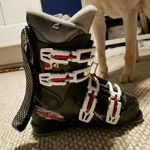 Alpina Ski boot
