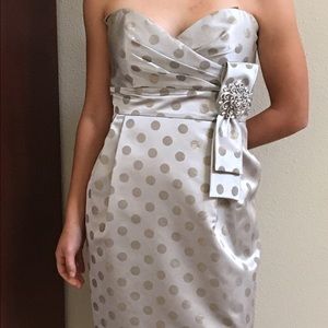 Beautiful Holiday Party Dress