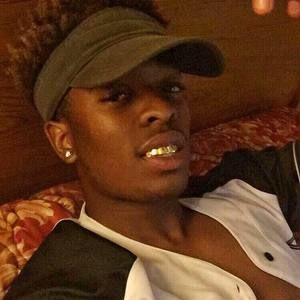 Meet your Posher, Harry