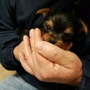 Meet your Posher, Mary