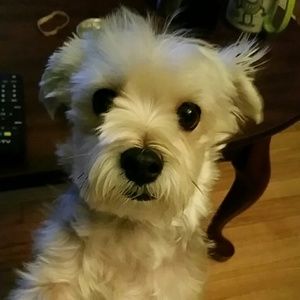 Meet your Posher, Mandy