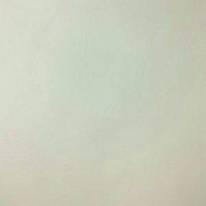 Meet your Posher, Patty