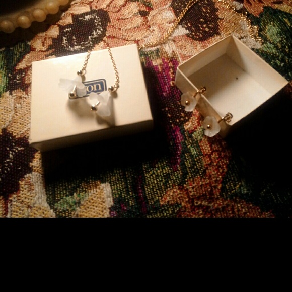 Clip-on earrings and necklace set