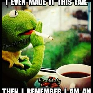 Meet your Posher, Charlotte