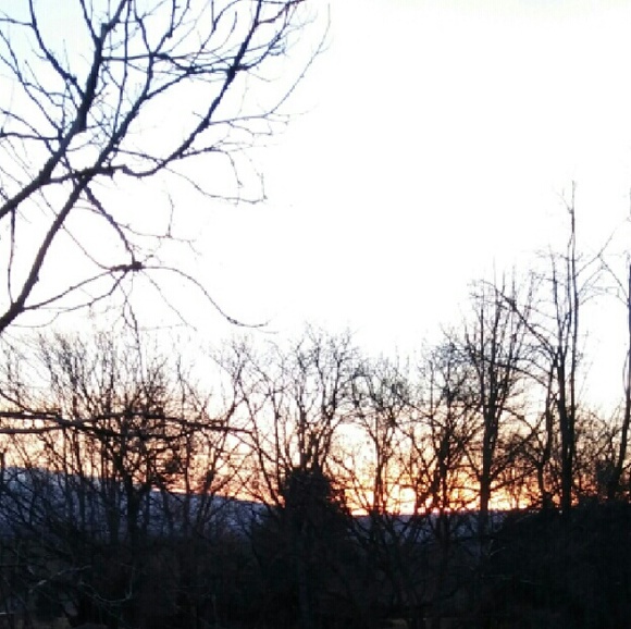 Hi :) Meet the Posher! - Picture 3 of 4