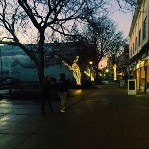 Meet your Posher, Allison