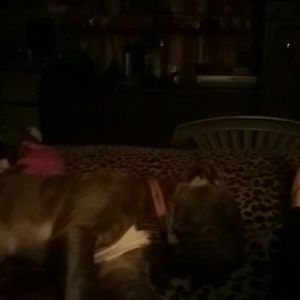 Meet your Posher, Bobbi