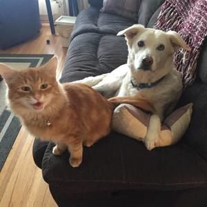 Meet your Posher, Alexis