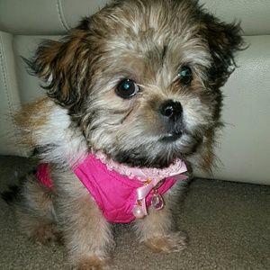 Meet your Posher, Bibiana