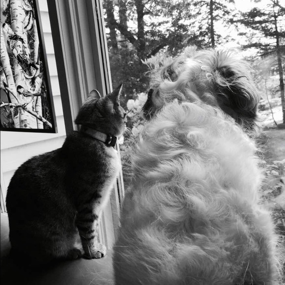 Meet your Posher, DG - Picture 2 of 3