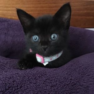 Meet your Posher, Brittany