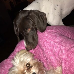 Meet your Posher, Jamie