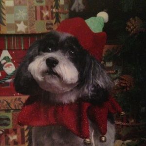 Meet your Posher, Debbie