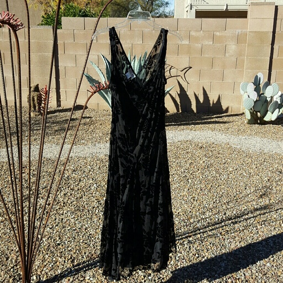 2/$50 Amazing Blk Flocked Velvet Sheer Dress NWOT