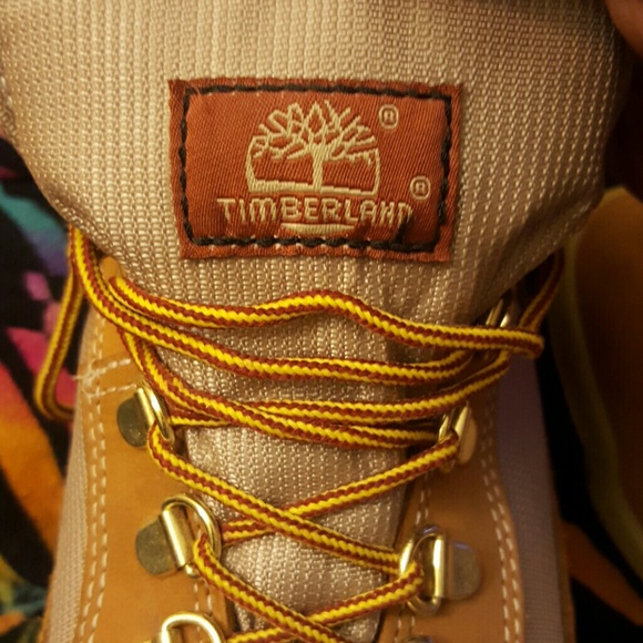 Timberlands - Picture 4 of 4