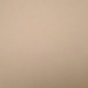 Meet your Posher, Tamara