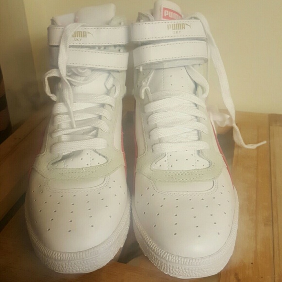 Puma's More pics