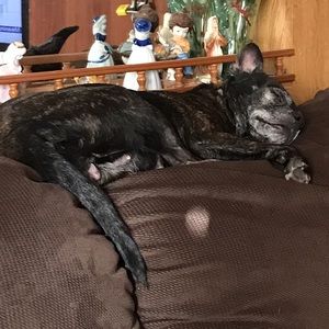 Meet your Posher, Wayne