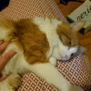 Meet your Posher, Christina