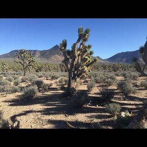 Meet your Posher, Doina