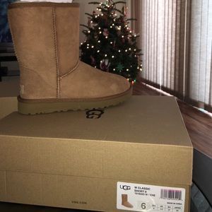 UUG wheat Classic Short 2/ size. 6  H2O resistant.