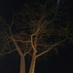 Meet your Posher, Dunia