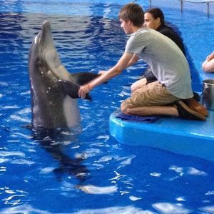 Meet your Posher, Ricky