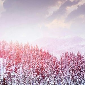 Meet your Posher, Amera