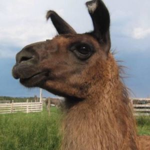 Meet your Posher, Michele