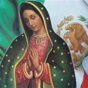 Meet your Posher, Bertha