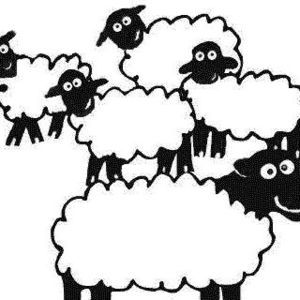 Meet your Posher, Jacki