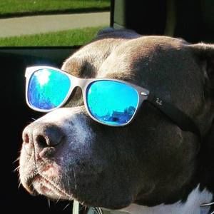 Meet your Posher, Mitchell