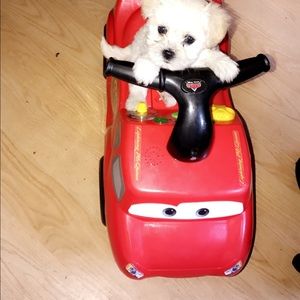 Meet your Posher, Letty