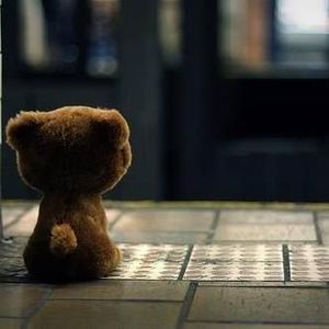 Meet your Posher, Charlotte