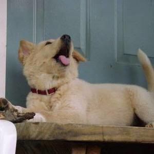 Meet your Posher, Tina