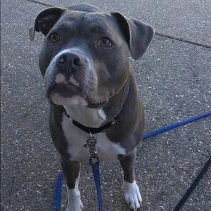 Meet your Posher, Mckenna