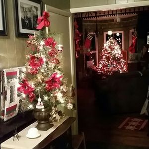 Meet your Posher, Cathy