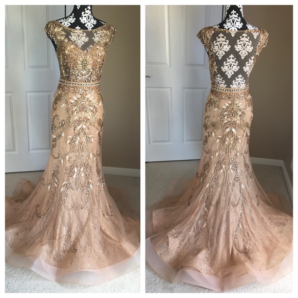 Terani Couture Dresses & Skirts - Terani Couture Embellished Lace Prom/Pageant Gown