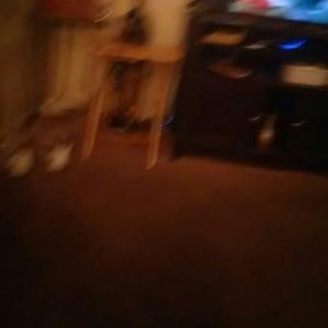 Meet your Posher, Eddie