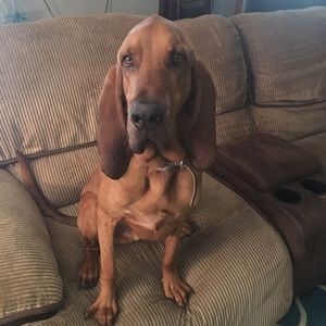 Meet your Posher, Heather